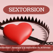 anarque_a_la_sextorsion_du_14_fevrier_