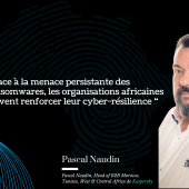 pascal_naudin